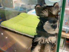 -FAELING PETS美天灵宠物(富力广场店)