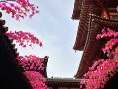 -新加坡佛牙寺龙华院