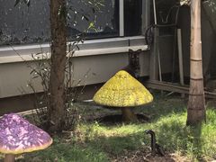 -正佳雨林生态植物园