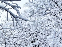 -叠溪松坪沟景区