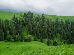 -新疆那拉提国家旅游度假区