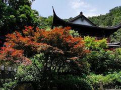 -十八棵（老龙井）御茶园(老龙井店)