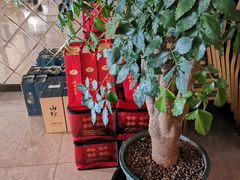 -满园春酒楼(庐江路店)