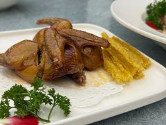 -乐和餐饮(活力源店)