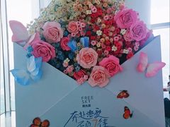 -平安金融中心云际观光层