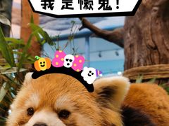 -海合安成都极地海洋公园