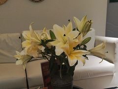 -象泰SPA·泰式按摩·足疗(卓悦中心店)