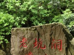 -紫云谷景区