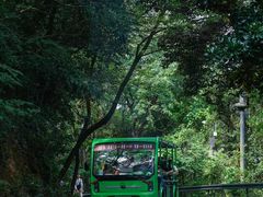 -岳麓山风景名胜区