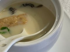 口袋豆腐-松云泽