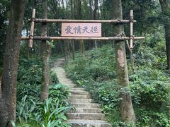 -广州市帽峰山景区