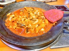 -红辣椒八爪鱼特色韩国料理