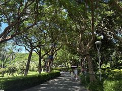 -二沙岛艺术公园