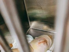 -爱侣宠医·鹦鹉专科·小型哺乳类·异宠专科(灵石路店)