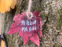 -丹东天桥沟景区