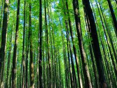 -山王坪喀斯特国家生态公园