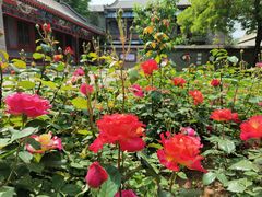 -莲池书院博物馆