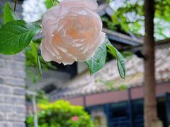 -大妙火锅·非物质文化遗产(东湖公园店)