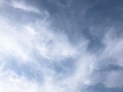 -上海国际音乐村