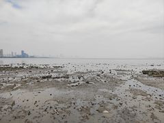 -深圳湾公园(南山区)