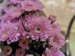 -BOBLOOM花店(宝龙旭辉广场店)