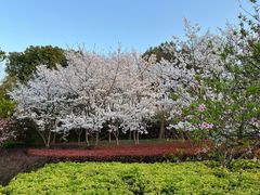 -石湖景区