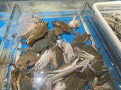 -加餐海鲜自助(集美银泰百货店)