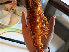 -开海·红岛海鲜虾水饺(石老人店)