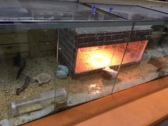 -同至人购物中心(朝阳街店)