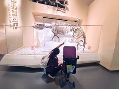 -国家自然博物馆