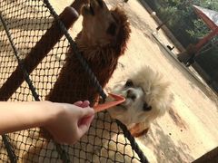 -大连森林动物园