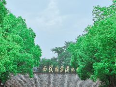 -西溪国家湿地公园