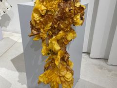 -当当梅溪书院(步步高梅溪新天地店)