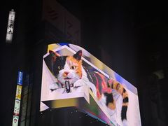 -一兰拉面(新宿中央东口店)