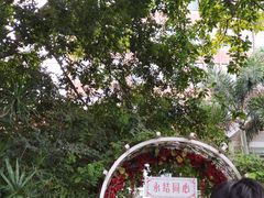 -东风公园