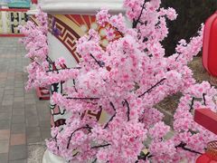 -北京石景山游乐园