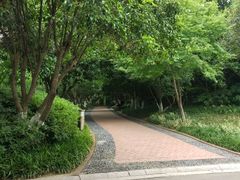 -杏花村文化旅游区
