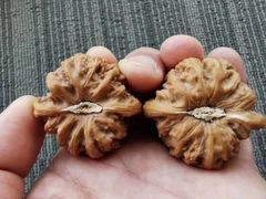 -万达广场(南京江宁店)