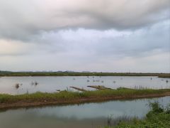 -崖口红树林海鲜餐厅