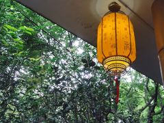 -广州兰圃