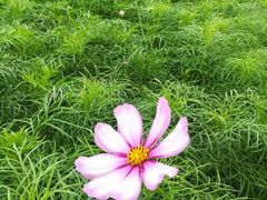 -全聚德(长江路店)