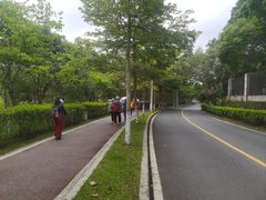 -凤岗南门山森林公园