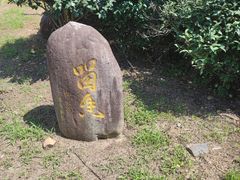 -大唐贡茶院