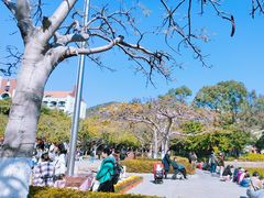 -厦门大学(思明校区)