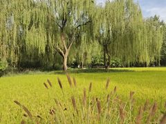 -北坞公园