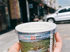 原味酸奶-蒙醇鲜酿酸奶