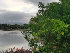 -龙江公园