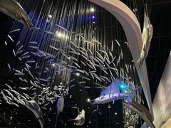 -武汉园博园(武汉自然博物馆)