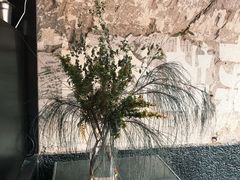 -毛辣果·酸(OHA复兴西路店)