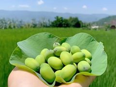 -蔓兰家的四季S0餐厅·融合菜(当代MOMA店)